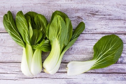 Bio-Pak-Choi-bestellen.jpg