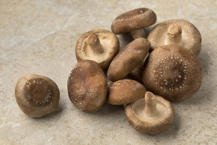 Bio-Shiitake-kaufen.jpg