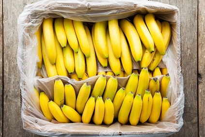Fair-Trade-Bananen-kaufen-Kiste.jpg
