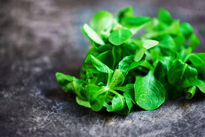 Fresh salad leaves over black background or table