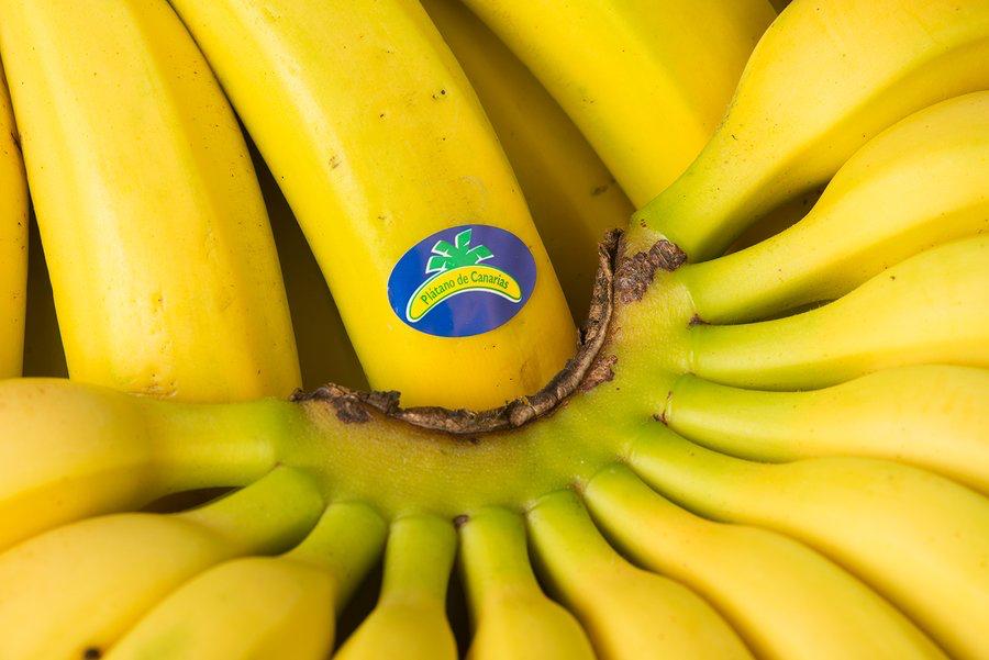 Kanarische-Bio-Bananen-kaufen.jpg
