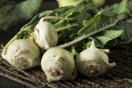Kohlrabi-bestellen.jpg