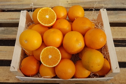 Tarocco-Orangen-kaufen.jpg