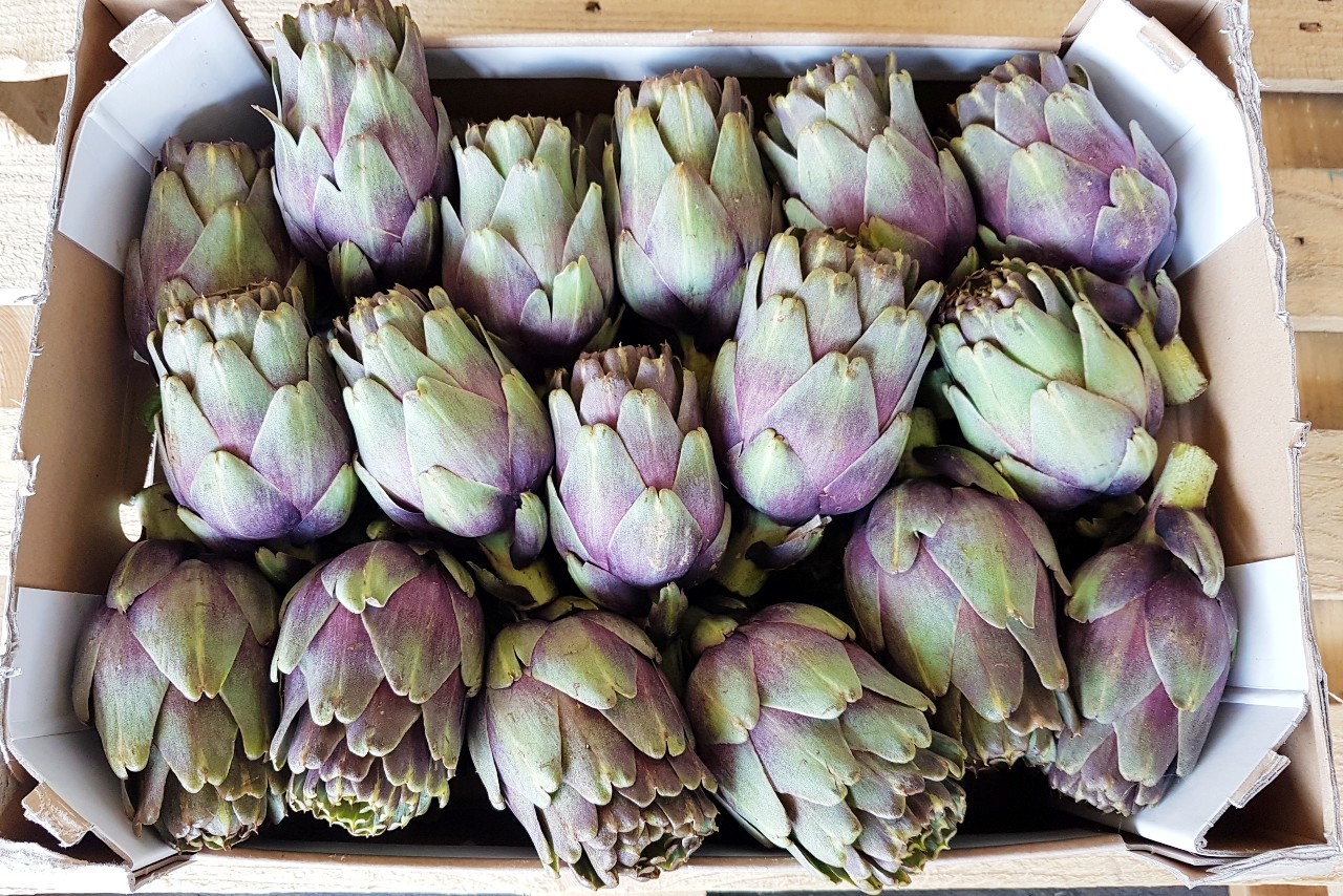 artischocken-kaufen-2.jpg