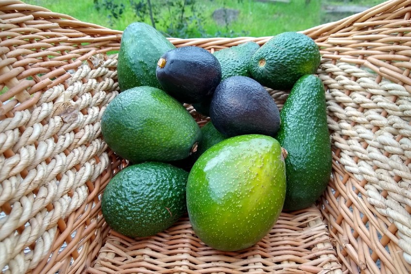 avocado-mix-2kg-1.jpg
