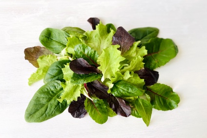 baby-leaf-salat-kaufen.jpg