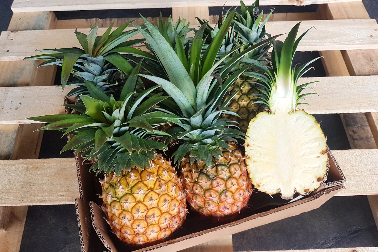 bio-ananas-kipepeo-kaufen.jpg