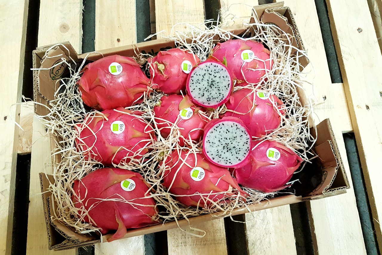 bio-drachenfrucht-kaufen-1.jpg