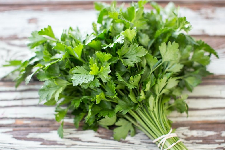 bio-petersilie-kaufen-1.jpg