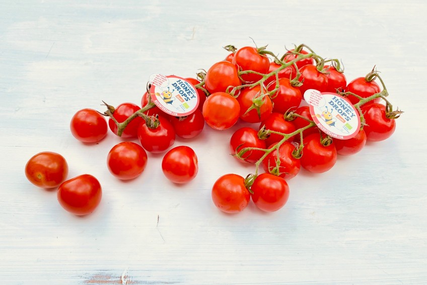cherrytomaten-honeydrops-kaufen.jpg