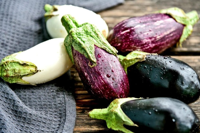 eggplant-mix-kaufen-1.jpg