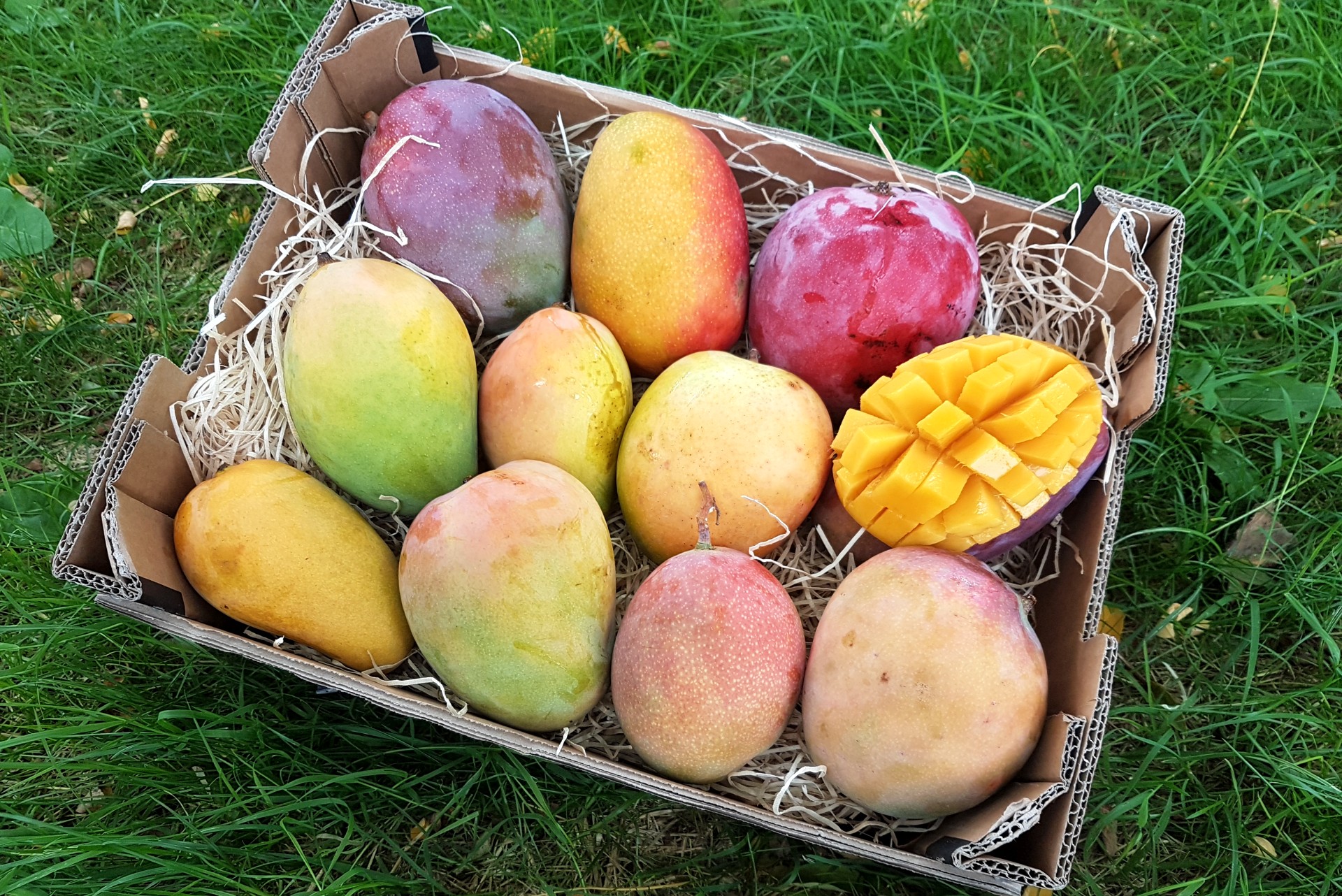 mangos-kaufen