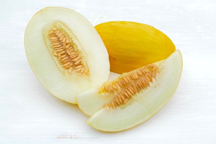 melone-canari-kaufen.jpg