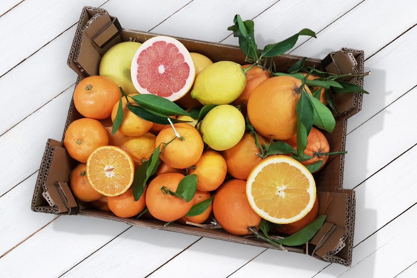 bio-zitrusfruechte-bestellen.jpg