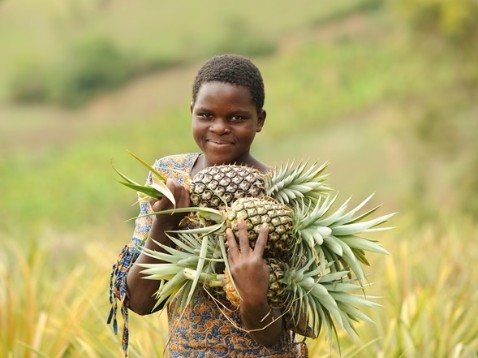 kipepeo früchte bestellen